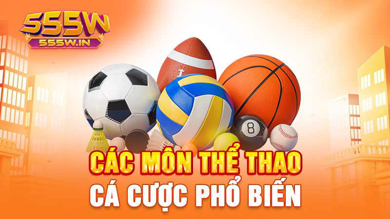 Các môn thể thao cá cược phổ biến